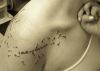dandelion flower seeds blowing tattoo on shoulder of girl