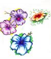 free hibiscus flower tattoo