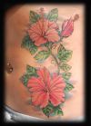 Hibiscus tattoos gallery