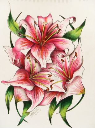 Lily Flower Free Tattoos