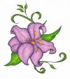 lily flower free pics tats