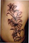 lily picture tats design