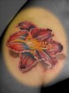 Lily tattoo design picture gallery