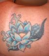 Lotus tattoo in blue color