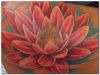 lotus tats design on shoulder
