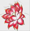 lotus free tattoo pic design