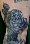  Black rose tattoos design