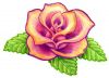free rose tattoos image