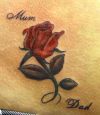 red rose tats design