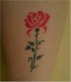 rose tats on leg 