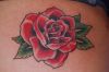 Rose tattoos on back