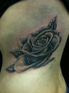 black rose tats design