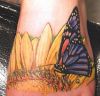 sunflower and butterfly pic tattoo