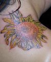 sunflower pic tattoo on shoulder