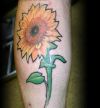 sunflower pics tattoo on leg