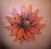 sunflower pics tattoo