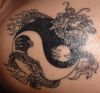 dragon and yin yang tattoo