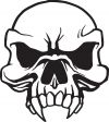free skull tattoo pics