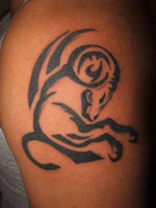 Aries Tattoo Pic On Left Arm