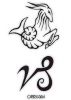 capricorn tattoo