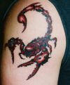 scorpio zodiac tats on arm