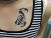 scarpio zodiac tats on chest