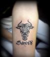 taurus pic tattoo on arm