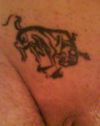 taurus pic tattoo