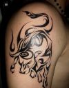 tribal taurus tattoo pic on arm