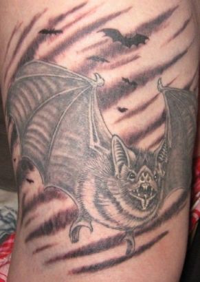 Bat Tattoos Design On Leg