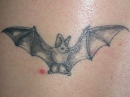 Bat Image Tattoo