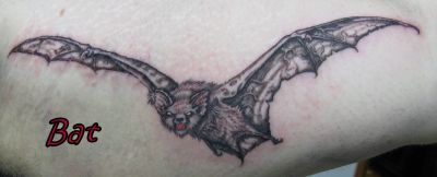 Animal tattoos, Bat tattoos, Tattoos of Animal, Tattoos of Bat, Animal tats, Bat tats, Animal free tattoo designs, Bat free tattoo designs, Animal tattoos picture, Bat tattoos picture, Animal pictures tattoos, Bat pictures tattoos, Animal free tattoos, Bat free tattoos, Animal tattoo, Bat tattoo, Animal tattoos idea, Bat tattoos idea, Animal tattoo ideas, Bat tattoo ideas, Bat tattoos picture