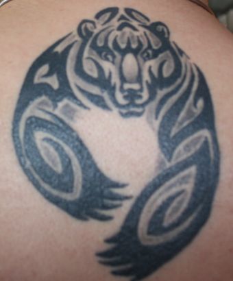 Bear Tattoos Pics Design