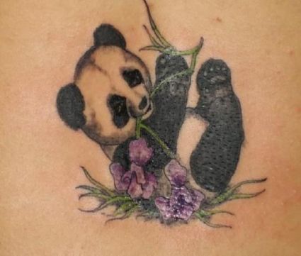 Panda Bear Tattoo Pics