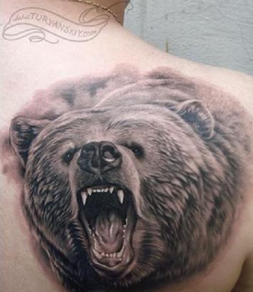 Animal tattoos, Bear tattoos, Tattoos of Animal, Tattoos of Bear, Animal tats, Bear tats, Animal free tattoo designs, Bear free tattoo designs, Animal tattoos picture, Bear tattoos picture, Animal pictures tattoos, Bear pictures tattoos, Animal free tattoos, Bear free tattoos, Animal tattoo, Bear tattoo, Animal tattoos idea, Bear tattoos idea, Animal tattoo ideas, Bear tattoo ideas, bear head tattoo on right shoulder blade