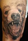 bear tattoos pics