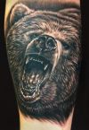bear head tattoo imges