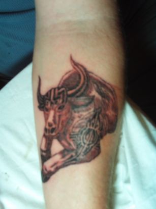 Bull Tats On Hand