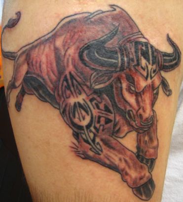 Bull Tattoos Design Gallery