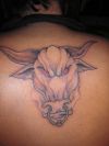 bull head tat pics design