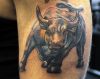 bull tats image on arm