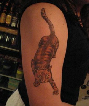 Cat Tattoo On Right Arm