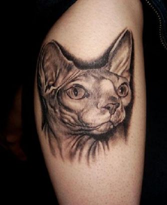 Cat Head Tattoo Pic