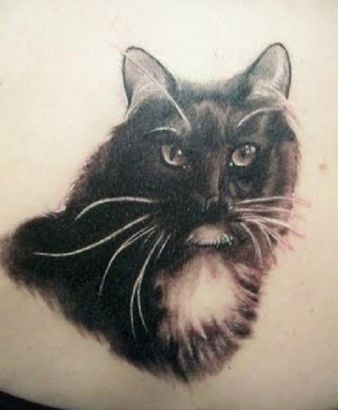 Black Cat Tattoo