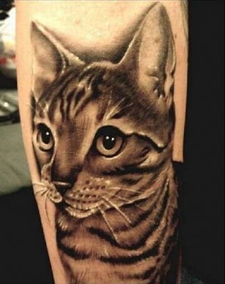 Cat Pics Tattoo