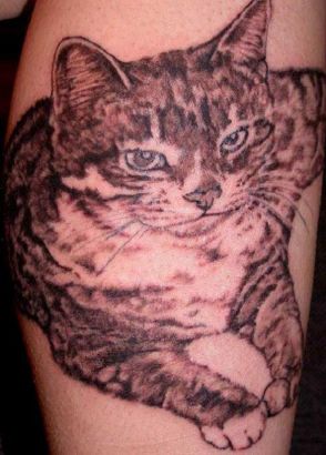 Cat Tattoo Pics 