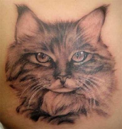 Cat Head Image Tattoo