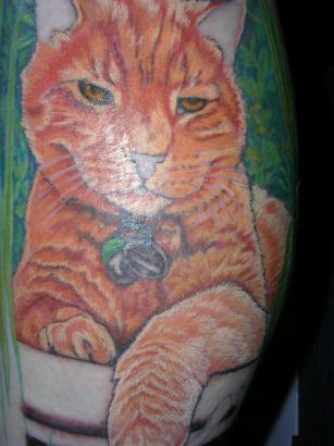 Cat Tattoos Pics