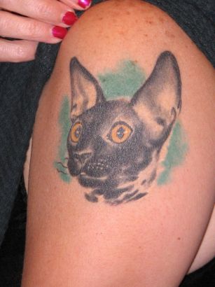 Cat Tattoo On Arm