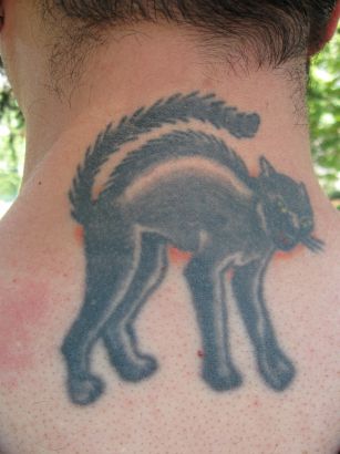 Cat Tattoo On Neck